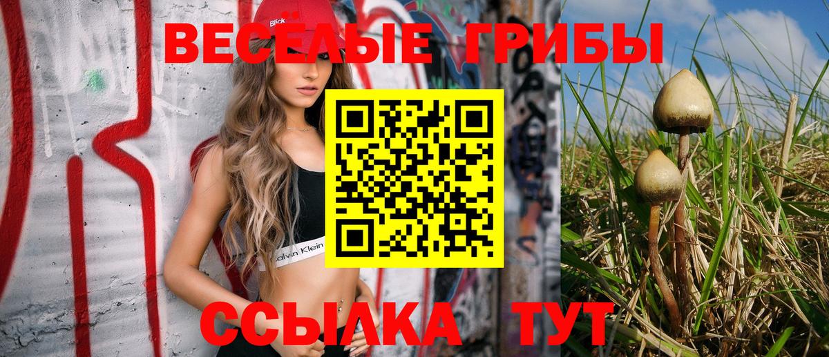 Галлюциногенные грибы ЛСД  Вход с VPN  Екатеринбург 